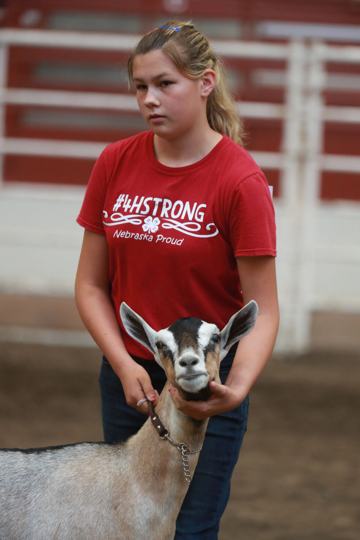 072320_HCFGoatShow010_bjs.JPG